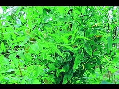 bangla choti golpo 2024,choti golpo,new bangla choti golpo,bangla choti,1